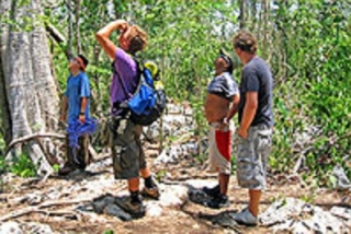  Santuário de macacos